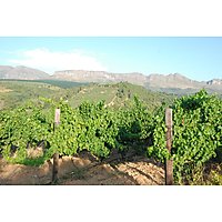 Calais Wine Estate image